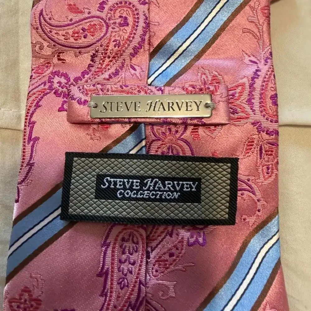 Steve Harvey Collection Pink Paisley Silk Tie with Blue and Brown Stripes